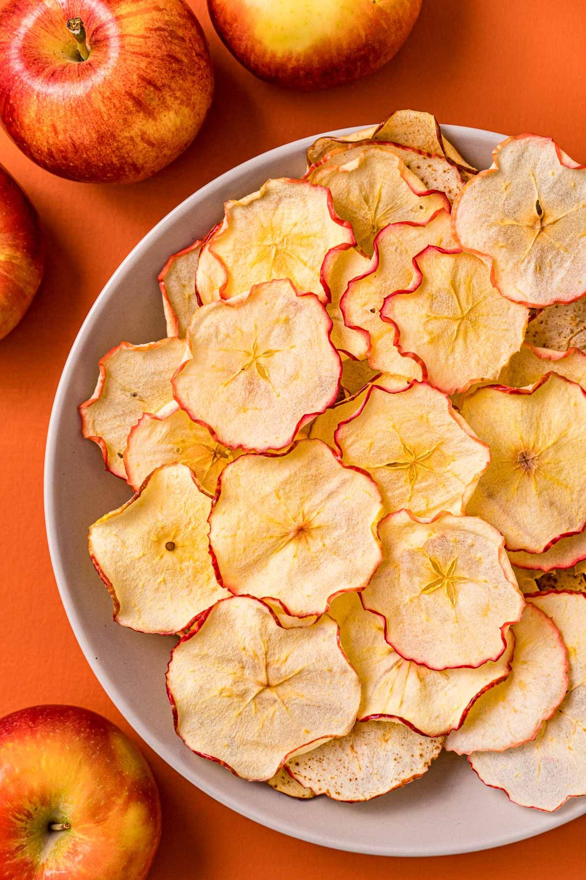 DEHYDRATED APPLE SLICE